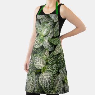 Fittonia Mosaik Pflanze mit verschiedenen Blätter Schürze