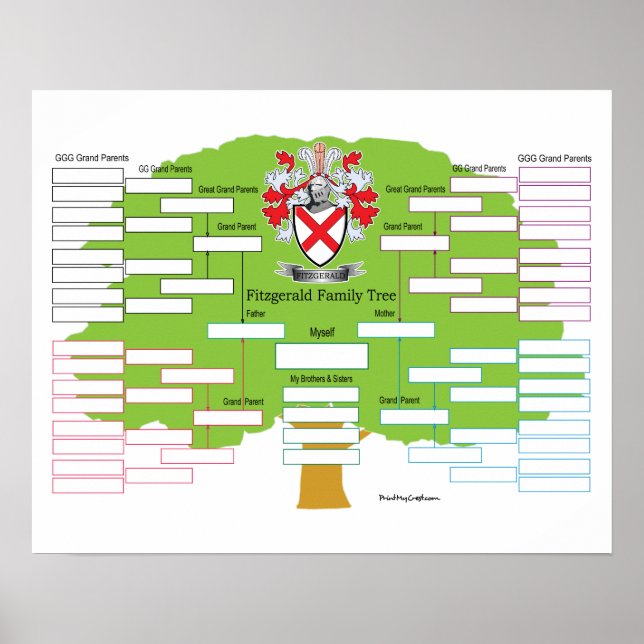 Fitzgerald Family Tree Poster (Vorne)