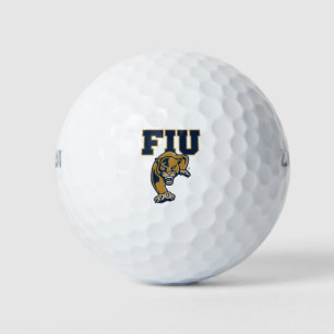 FIU-Paneele Golfball