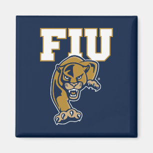 FIU-Paneele Magnet