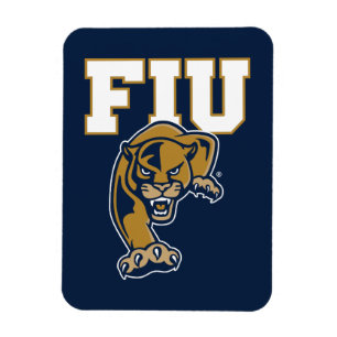 FIU-Paneele Magnet