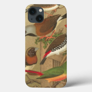 Five Colorful Pet Birds Perched on a Branch Case-Mate iPhone Hülle