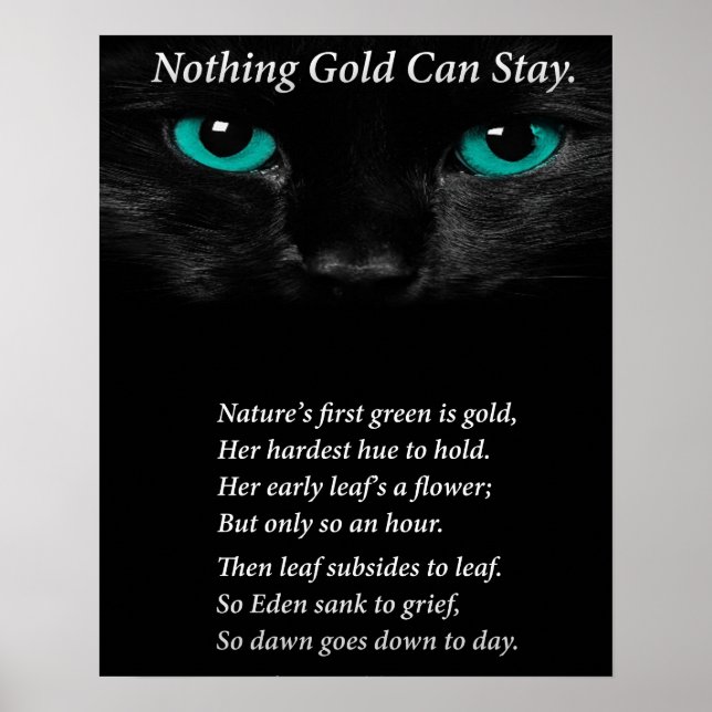 Fixe Augen Poster (Vorne)