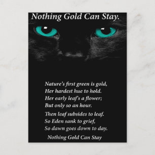 Fixe Augen Postkarte