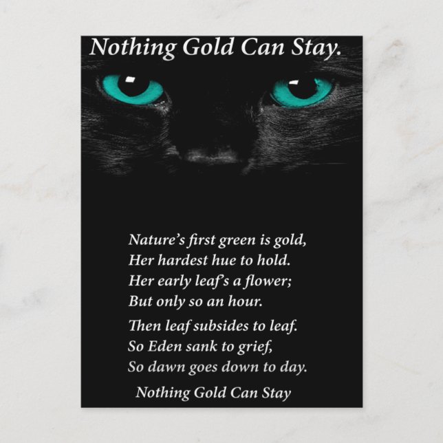 Fixe Augen Postkarte (Vorderseite)