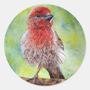 Fixierkleber Runder Aufkleber