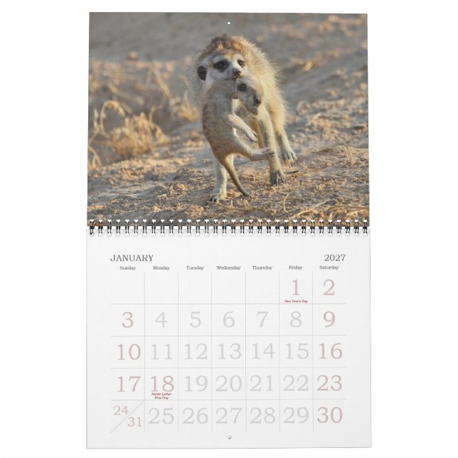 FKMP Meerkats 2013 Kalender (Jan 2027)