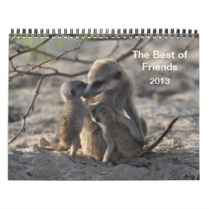 FKMP Meerkats 2013 Kalender