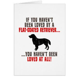 Flach-Überzogener Retriever