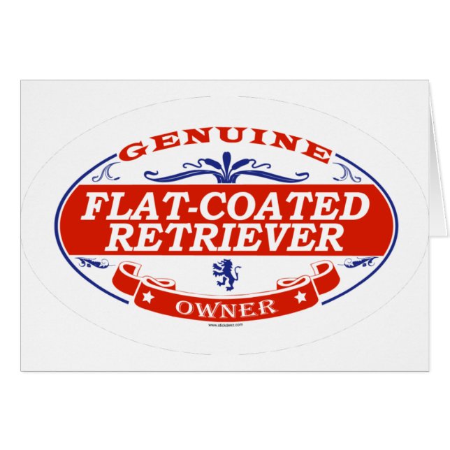 Flach-Überzogener Retriever (Vorderseite (Horizontal))