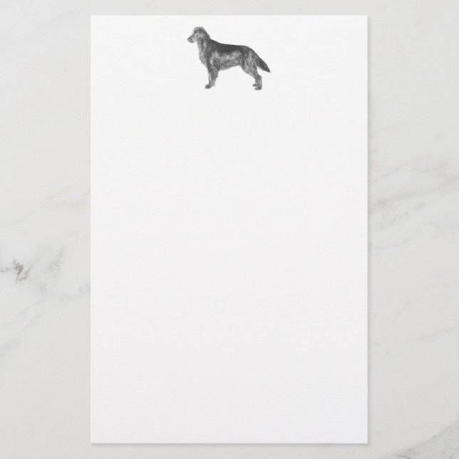 Flachbeschichteter Retriever Briefpapier (Vorderseite)