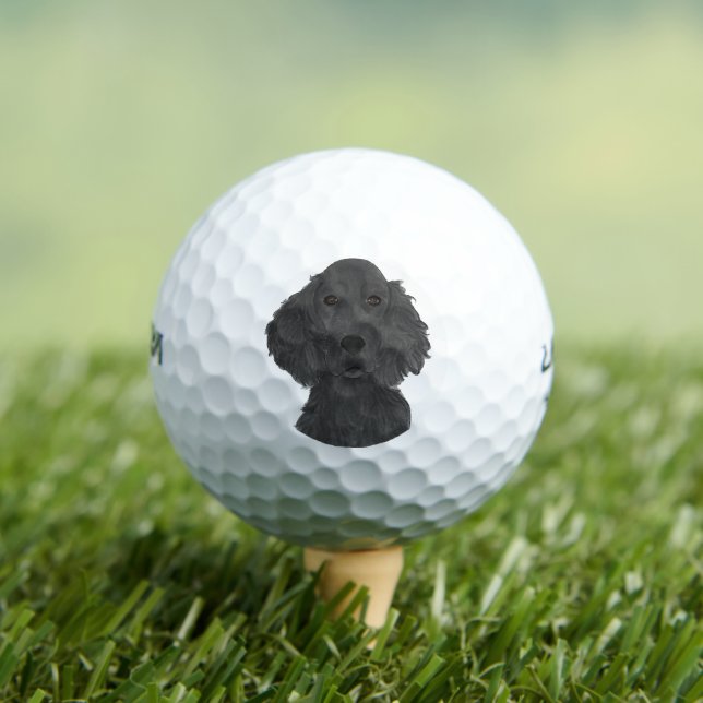 Flachbeschichteter Retriever Golfball (Insitu T-Shirt)