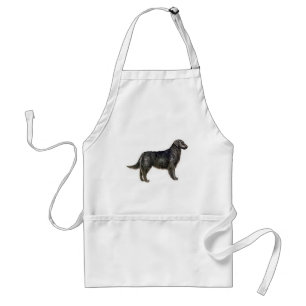 Flachbeschichteter Retriever Schürze