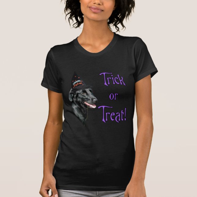 Flachbeschichteter Retriever Trick T-Shirt (Vorderseite)
