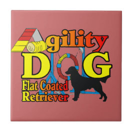 Flachbeschichtetes Retriever-Agility Fliese