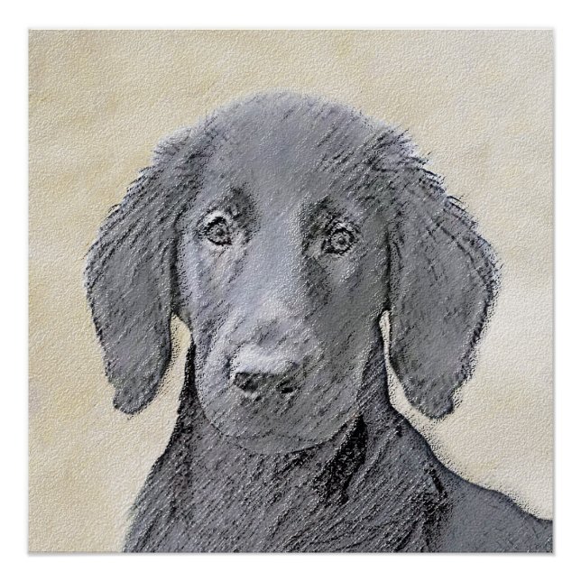 Flachbeschichtetes Retriever-Gemälde - Originale H Poster (Vorderseite)