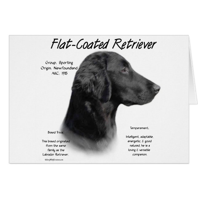 Flachbeschichtetes Retriever-History-Design (Vorderseite (Horizontal))