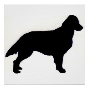 Flachbeschichtetes Retriever-Silo Poster