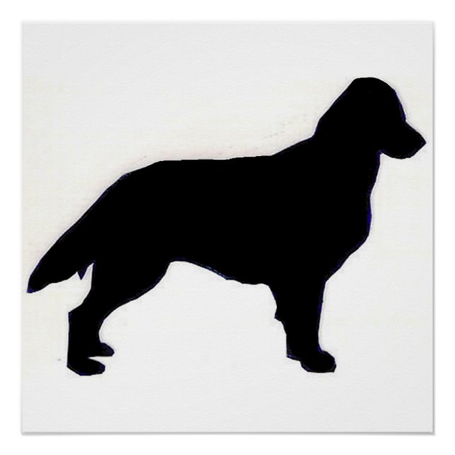Flachbeschichtetes Retriever-Silo Poster (Vorderseite)