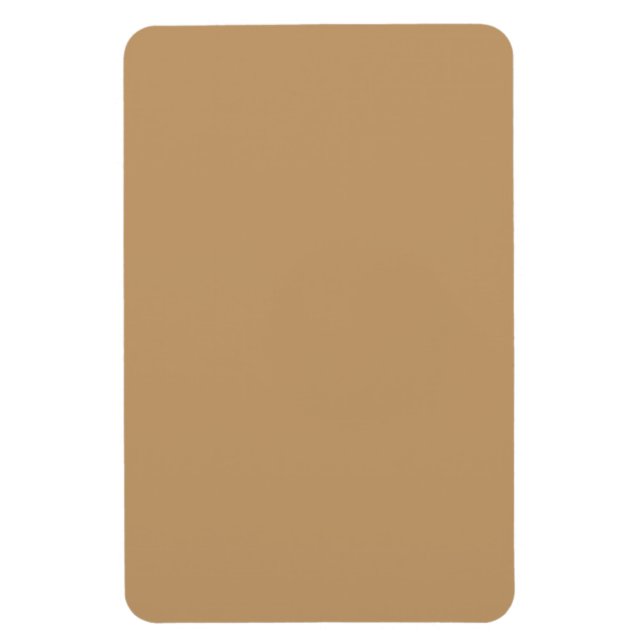 Flache, exklusive Farbe Magnet (Vertikal)