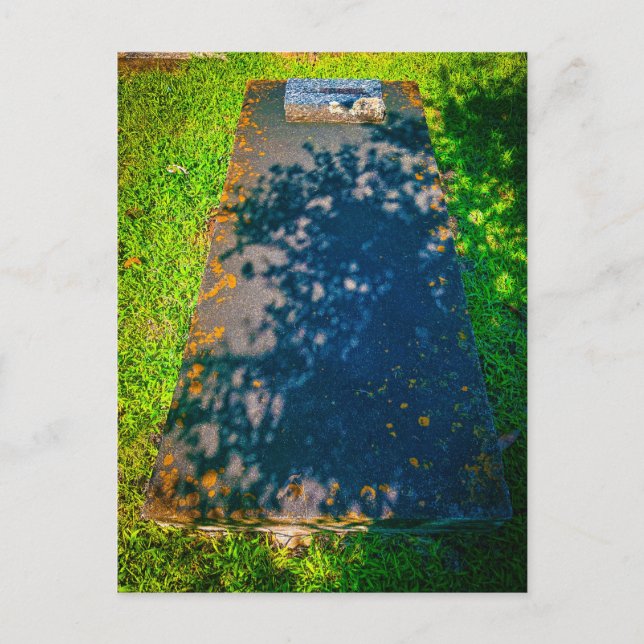 Flacher Grabstein mit Blattschatten Postkarte (Vorderseite)
