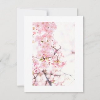 FLACHKARTE : CHERRY BLOSSOM BRANCH EINLADUNG