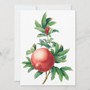 Flachkarte für Garnetmuster