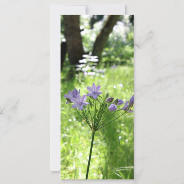 Flachkarte für lila Wildblume (Vorderseite)