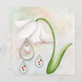 Flachkarte für weiße Failletten