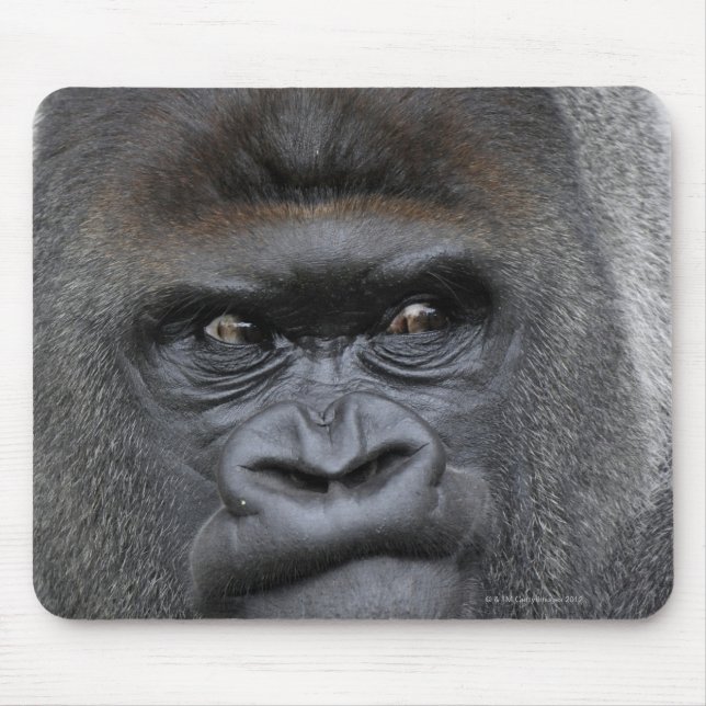 Flachland Gorilla Mousepad (Vorne)