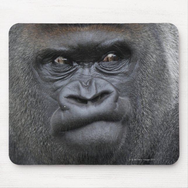 Flachlandgorilla, Gorilla Mousepad (Vorne)