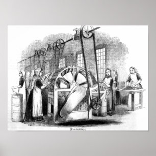 Flachsekklammer Poster