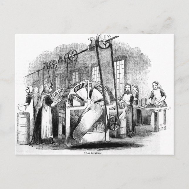 Flachsekklammer Postkarte (Vorderseite)