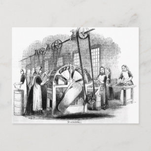 Flachsekklammer Postkarte