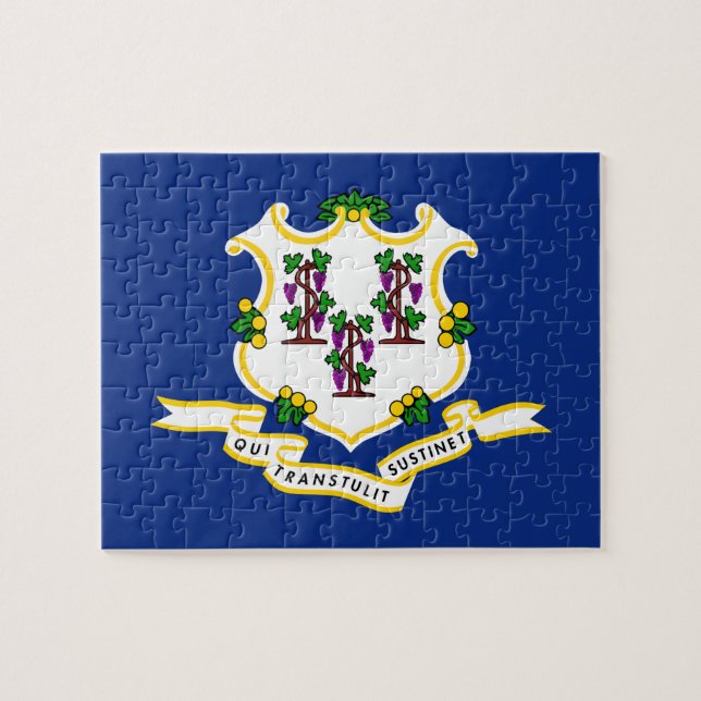 Flag Connecticut State 8x10 Puzzle (Horizontal)