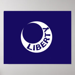 Flag Fort Moultrie, South Carolina Poster