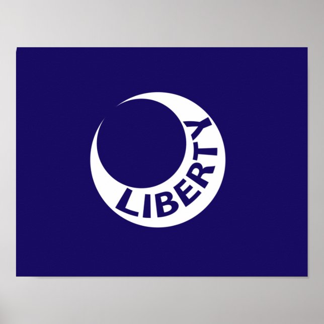 Flag Fort Moultrie, South Carolina Poster (Vorne)