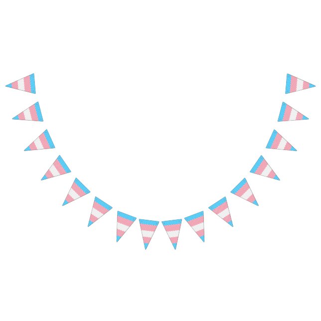 Flag "Funky Boho Stripe Abstrakt Transgender Pride Wimpelkette (Alle)