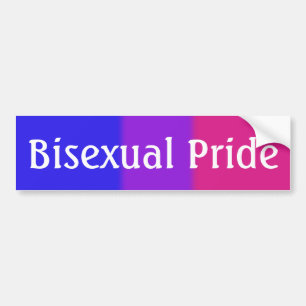 Flag für die ungesexuelle Version 2 (Text) Autoaufkleber