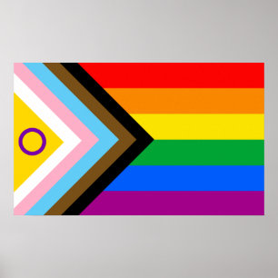 Flag für inklusiven intersexuellen Fortschritt Poster