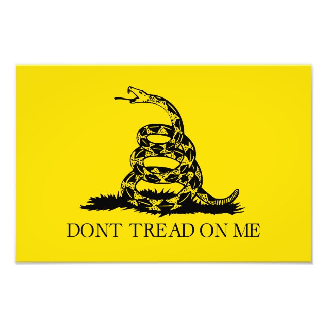 Flag Gadsden Rattlesnake: Revolutionärer Krieg 177 Fotodruck (Vorne)