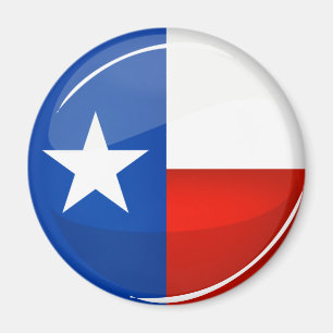 Flag Glossy Round Texas Magnet