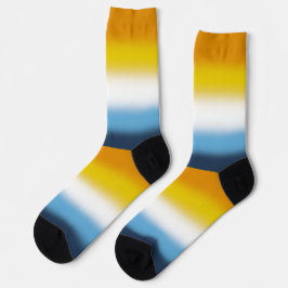 Flag Gradient AroAce Socken