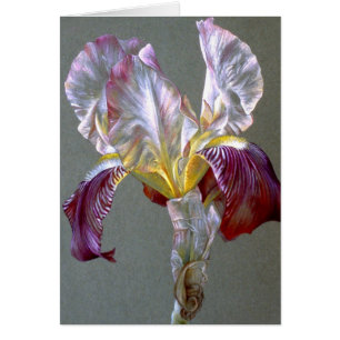 Flag Iris botanische Blume Schwarze Karte