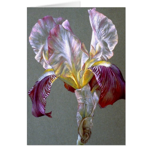 Flag Iris botanische Blume Schwarze Karte (Vorne)