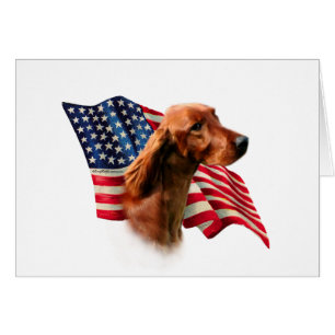 Flag Irish Setter