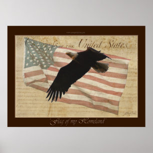 FLAG MEINES HEIMAT ~Bald Eagle US Flag Poster