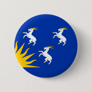 Flag Merionethshire Button