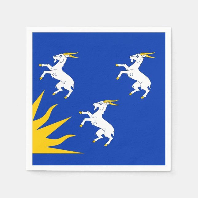 Flag Merionethshire Paper Napkins Serviette (Vorderseite)