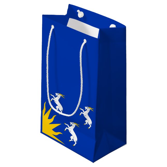 Flag Merionethshire Small Gift Bag Kleine Geschenktüte (Vorderseite Schrägansicht)